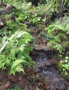 Rainforest Garden Halaman Rumah