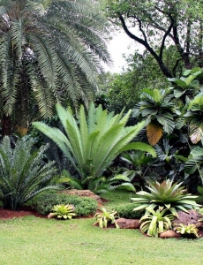 Taman Tropis Koleksi